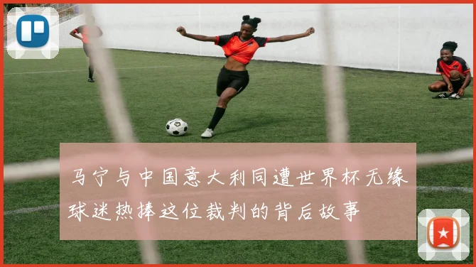 马宁与中国意大利同遭世界杯无缘球迷热捧这位裁判的背后故事